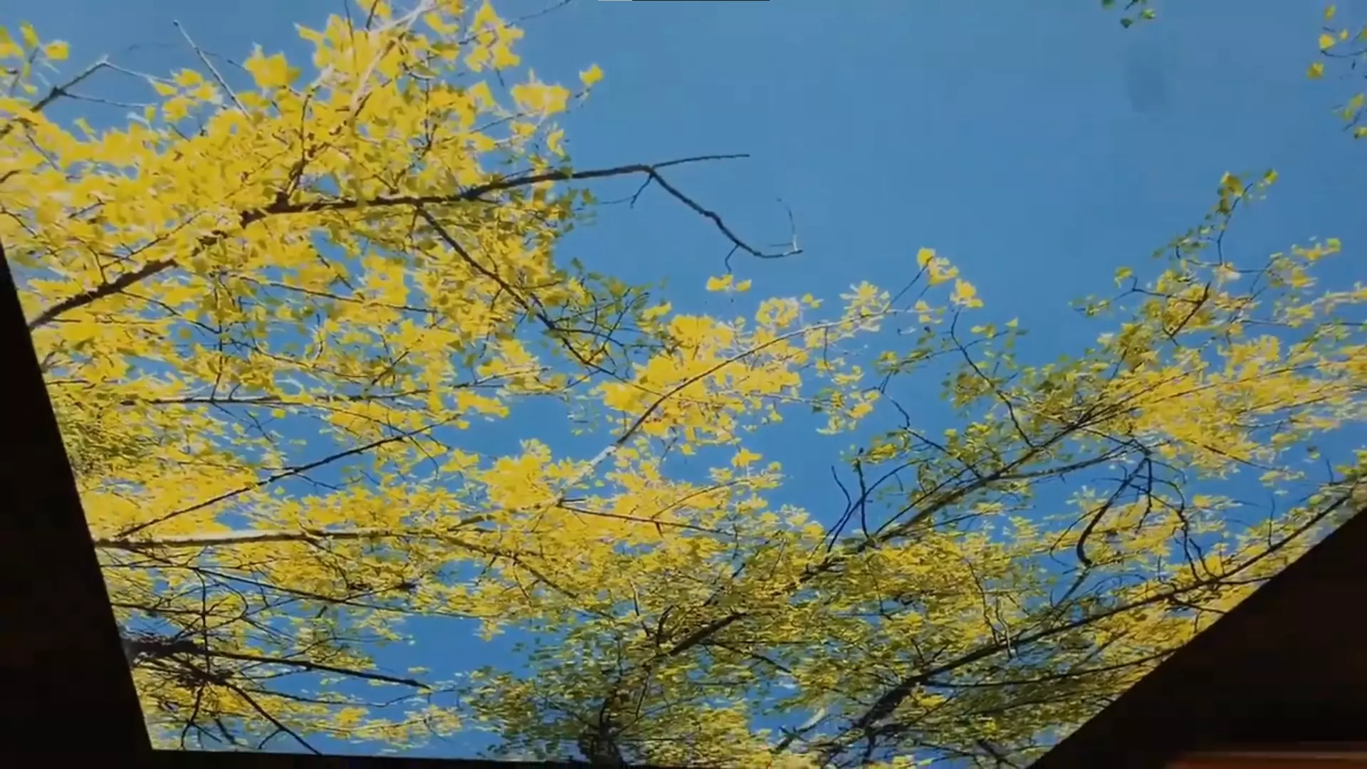 Геленджик, , фото 2